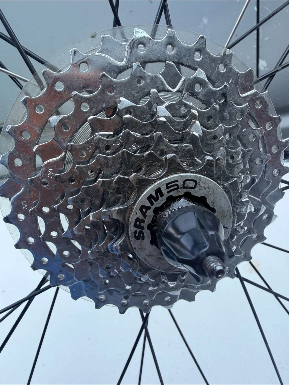 Matrix 750  Blue Bicycle Wheel with Cassette